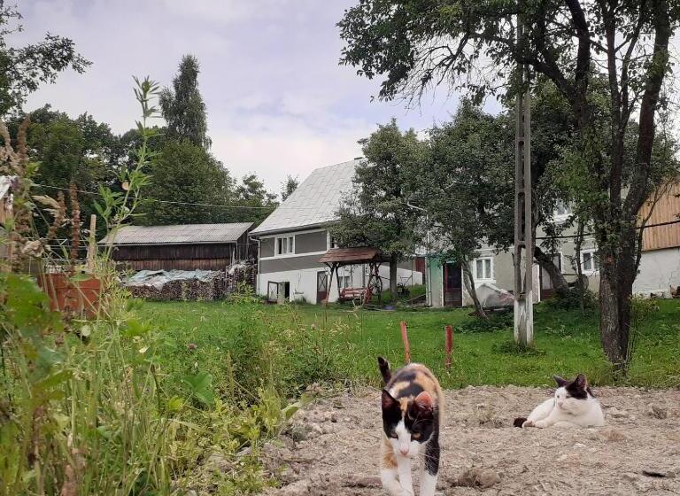 بنسيون Room In Guest Room   Healthy Retreat Holiday In Mountain