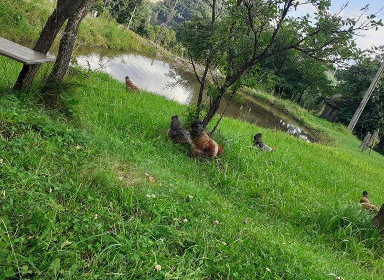 بنسيون Room In Guest Room   Healthy Retreat Holiday In Mountain