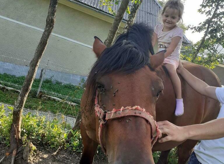 بنسيون Room In Guest Room   Healthy Retreat Holiday In Mountain