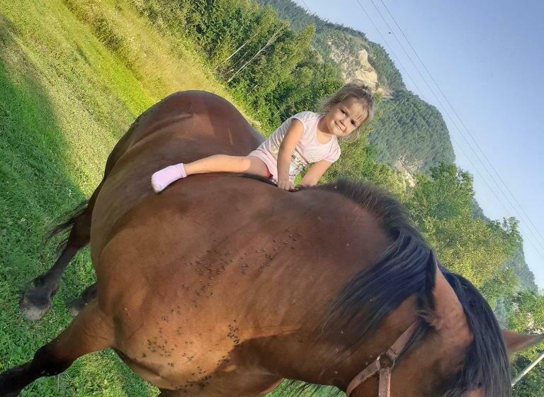 بنسيون Room In Guest Room   Healthy Retreat Holiday In Mountain