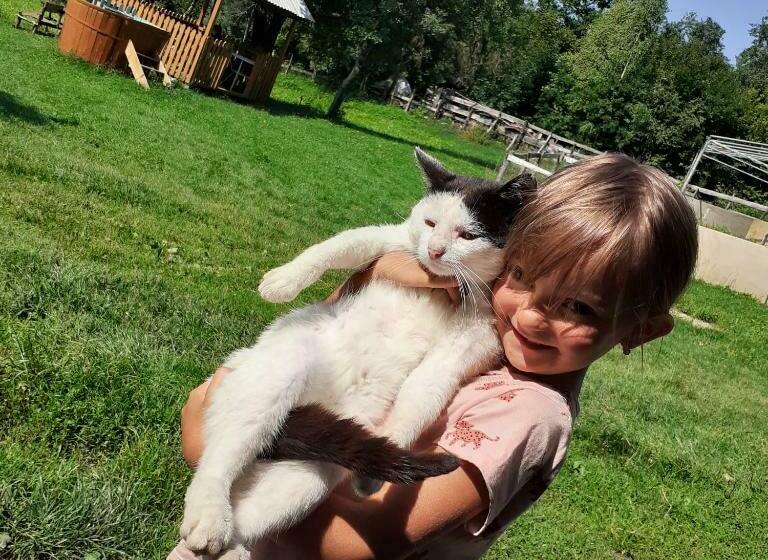 بنسيون Room In Guest Room   Healthy Retreat Holiday In Mountain