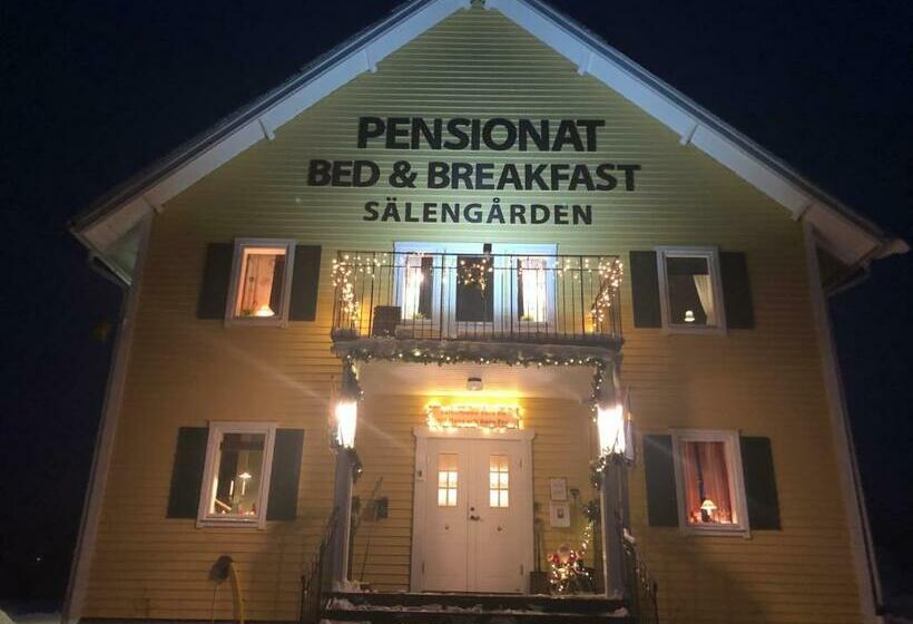 פנסיון Sälengården