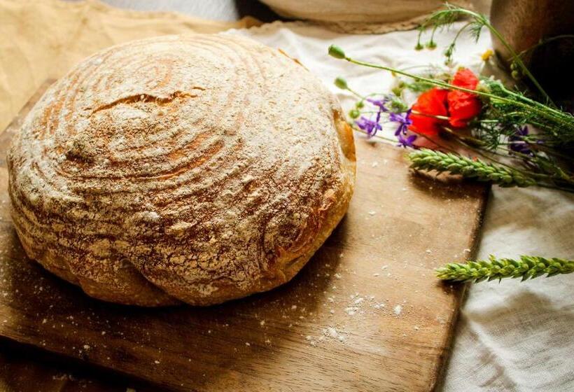 بنسيون Terra Penzión