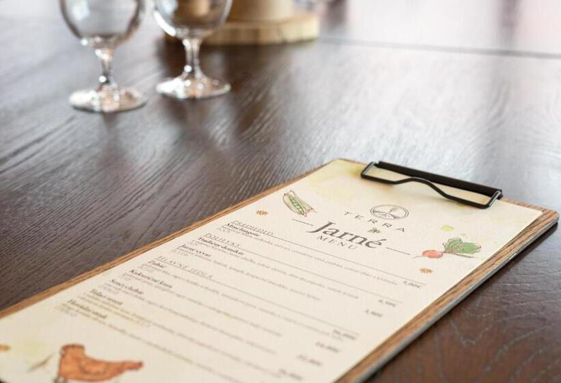 ペンション Terra Penzión