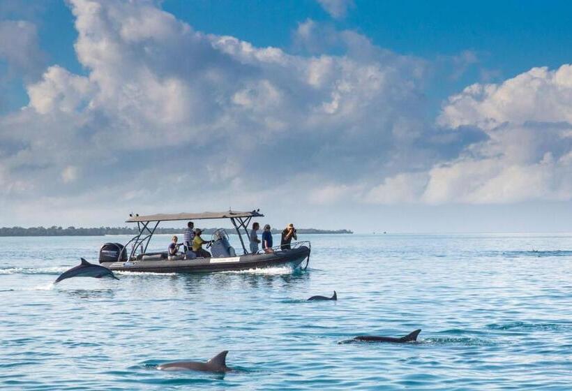 リゾートホテル Fundu Lagoon