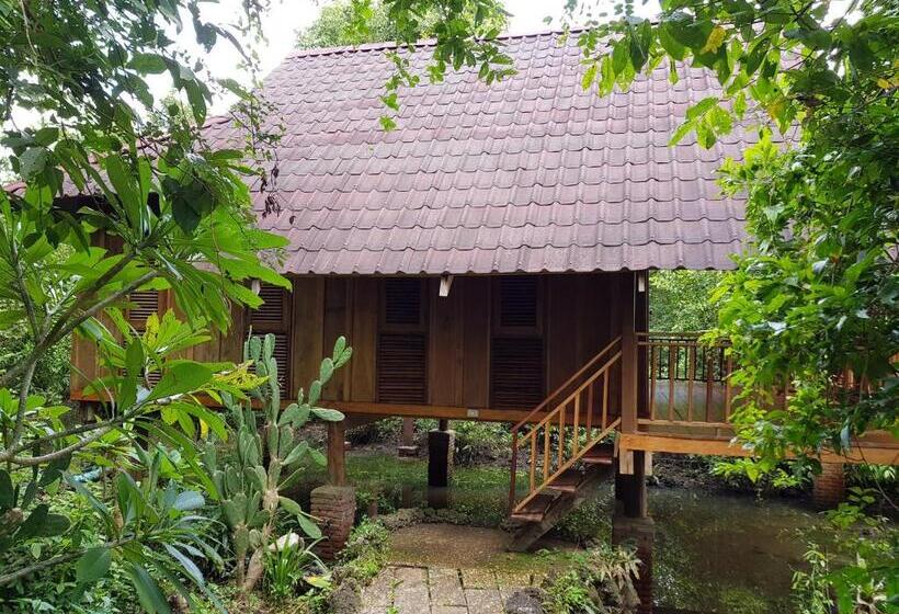 אתר נופש Kingfisher Ecolodge