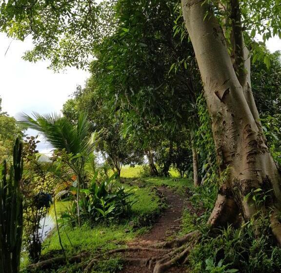 منتجع Kingfisher Ecolodge