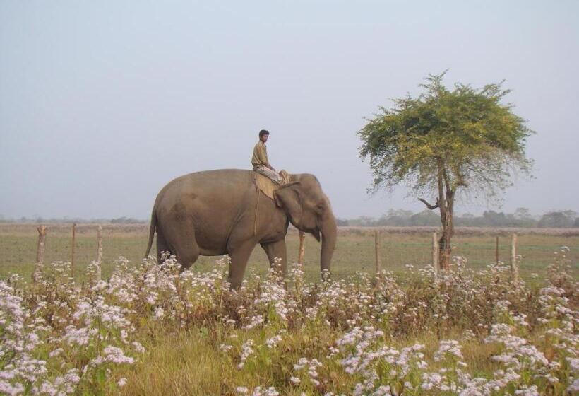 منتجع Musa Jungle Retreat