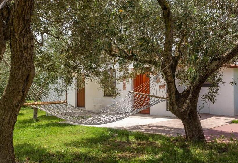 ユースホステル Da Renzo