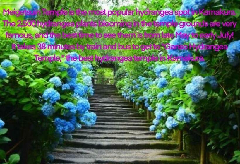 فندق صغير The Bath & Bed Hayama