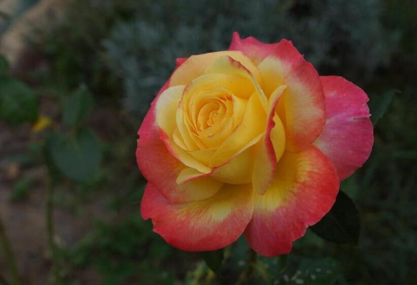 Bed and Breakfast Bout De Cote