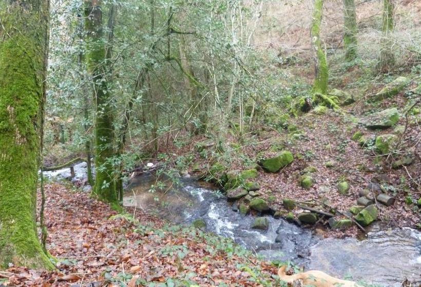 Bed and Breakfast Bout De Cote