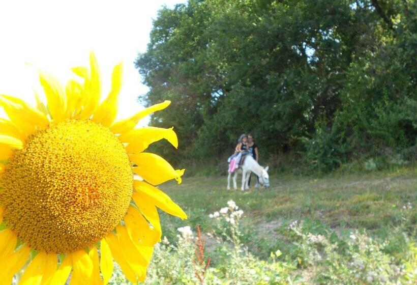 צימר Domaine Jardin D En Naoua