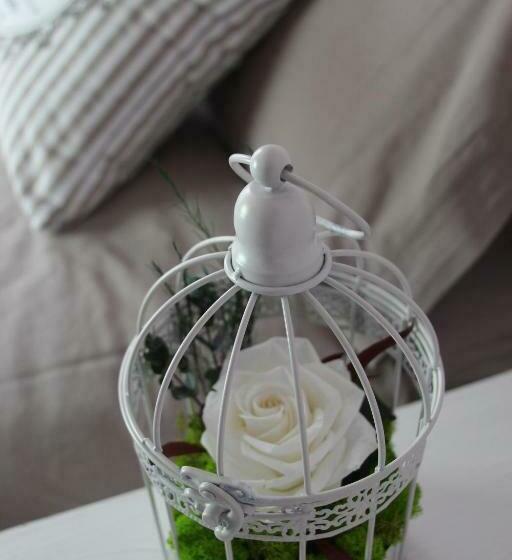 Bed and Breakfast La Villanelle Maison D Hôtes