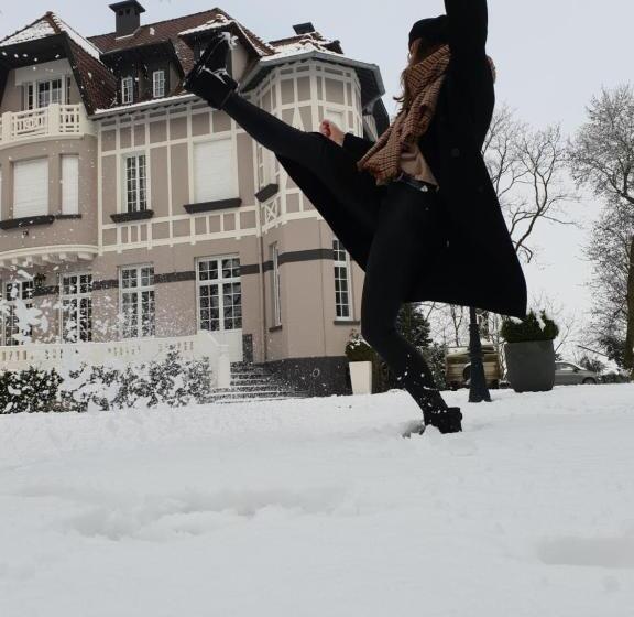 Bed and Breakfast Le Chateau De Fresnoy En Gohelle