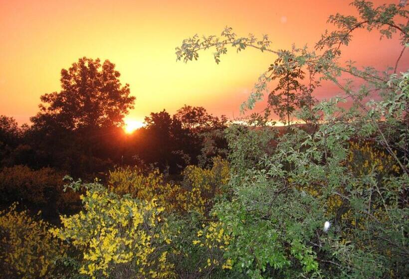 ベッドアンドブレックファースト Le Clos De Banes