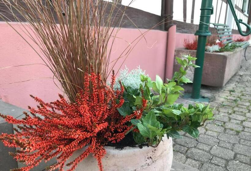 مبيت وإفطار Maison D'hôtes Aux Deux Cigognes