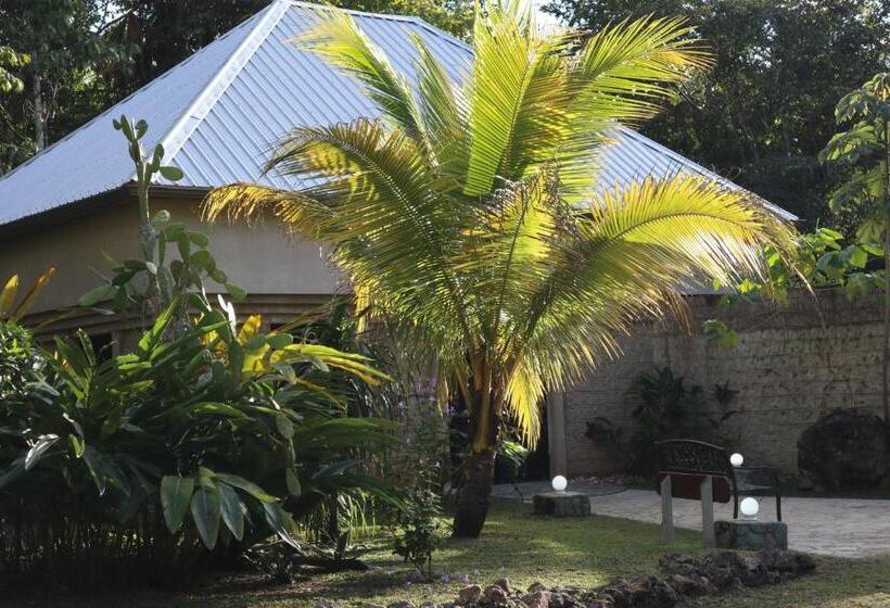 Calico Jack's Resort