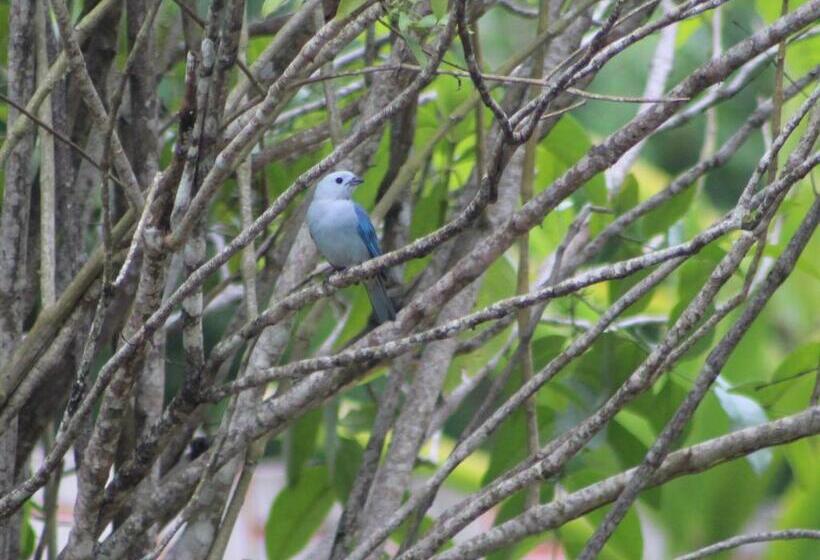 Calico Jack's Resort