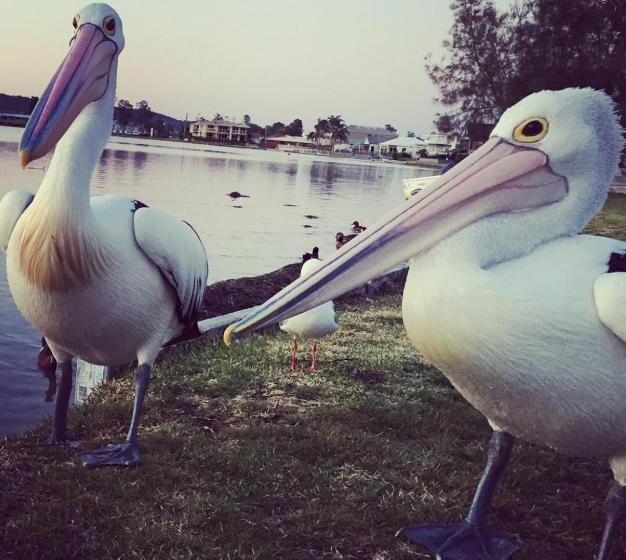 Churchill S B&b Twin Spa Getaway Studio