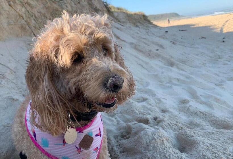 Churchill S B&b Twin Spa Getaway Studio