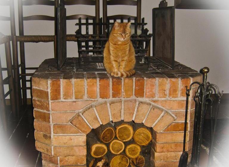 D'orsaria B&b And Wines