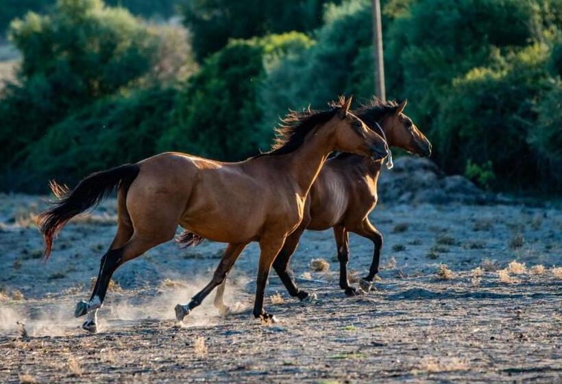 בית מלון כפרי Agriturismo Carrucana