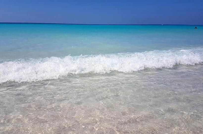 酒店 Agriturismo Il Poggio