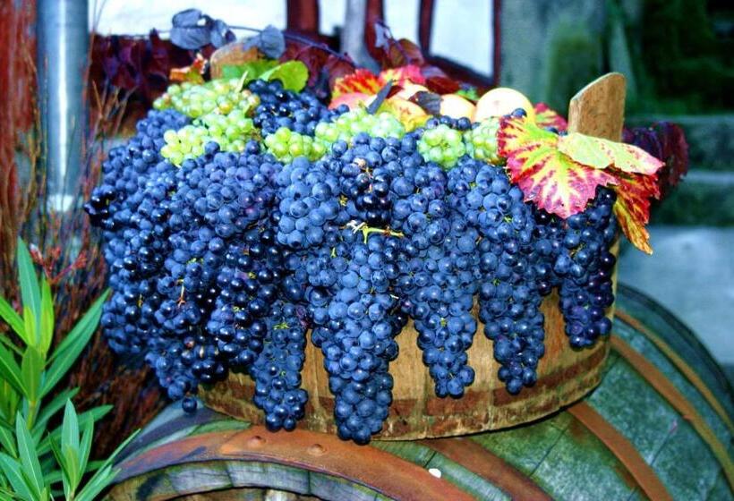 בית מלון כפרי Am Goetheberg