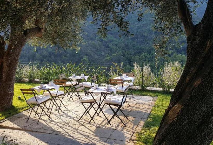 בית מלון כפרי Aurivu