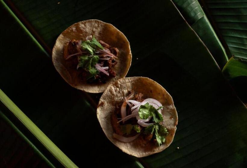 ホテル Casa Barlovento