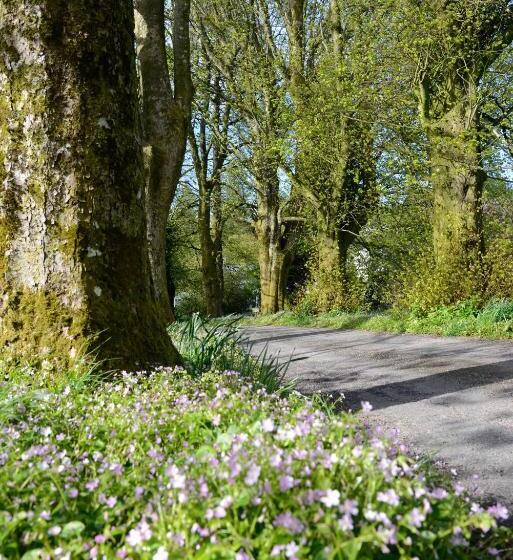 ホテル Craigadam Country House