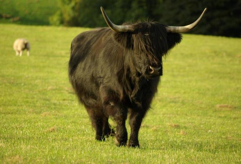 ホテル Craigadam Country House