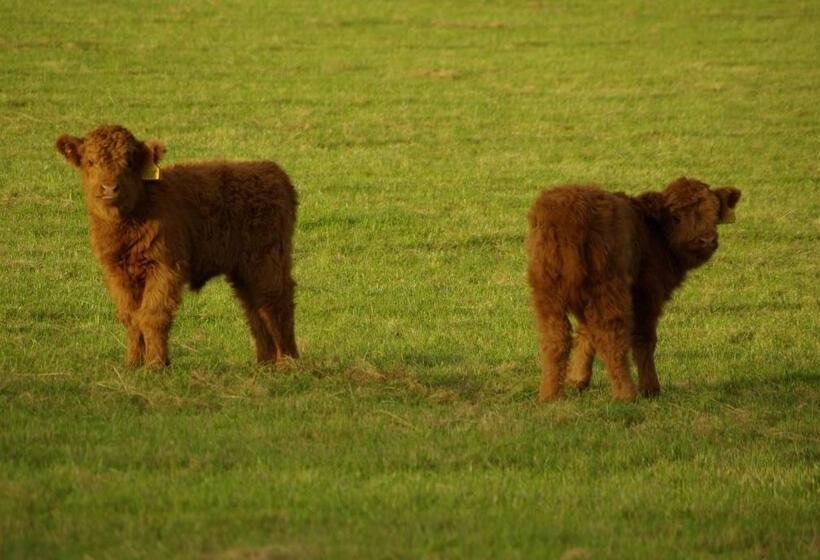 ホテル Craigadam Country House