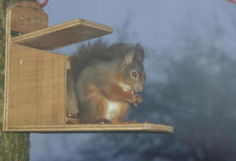 ホテル Craigadam Country House