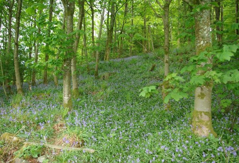 ホテル Craigadam Country House