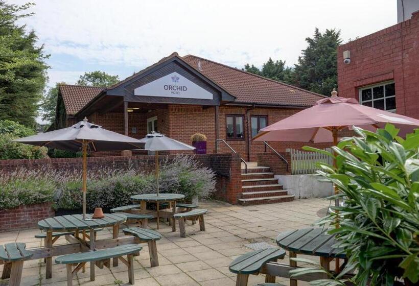 Orchid Epsom; Sure Hotel Collection By Best Western