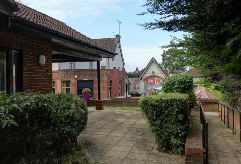 Orchid Epsom; Sure Hotel Collection By Best Western