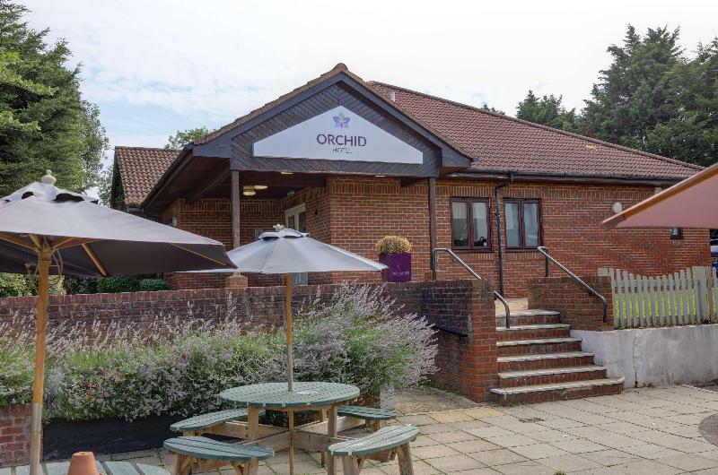 Orchid Epsom; Sure Hotel Collection By Best Western