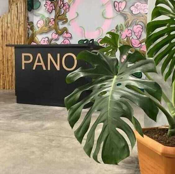 هتل Pano