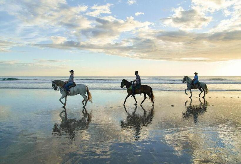 ホテル Rancho Santana