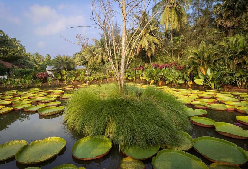 فندق Rvr Sarovar Portico