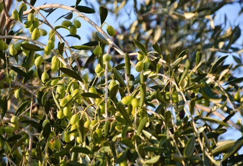 ホテル Torre Bruno