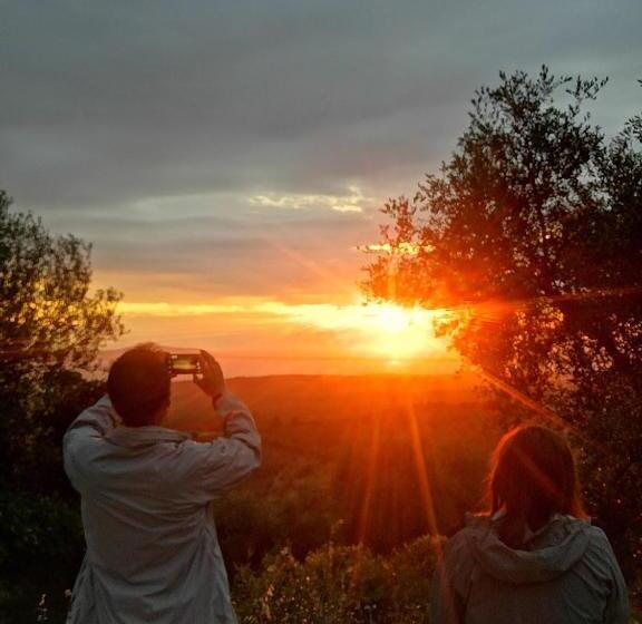 ホテル Torre Bruno