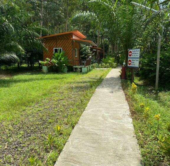 Khaosok Bamboo Huts Resort