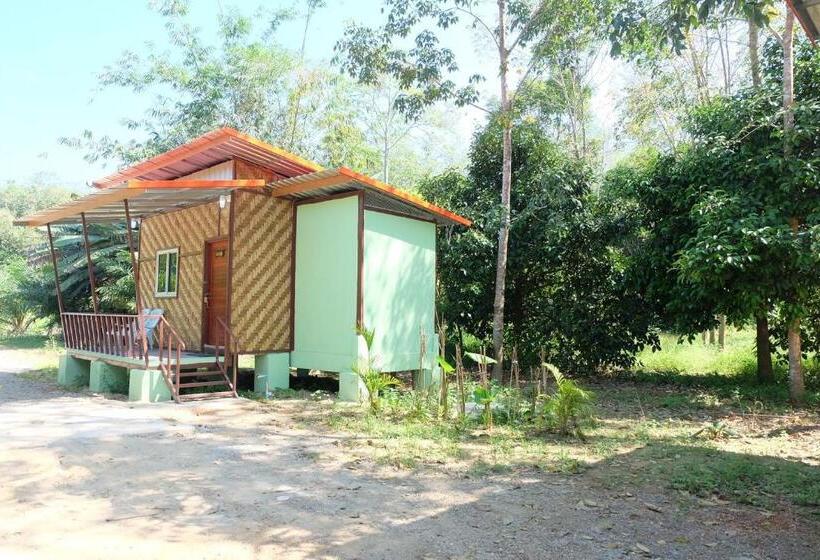Khaosok Bamboo Huts Resort