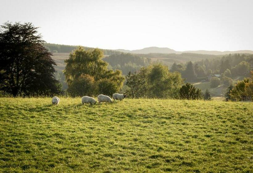 Kirkmichael House B&b