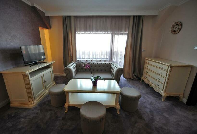 بنسيون Carul Din Stele