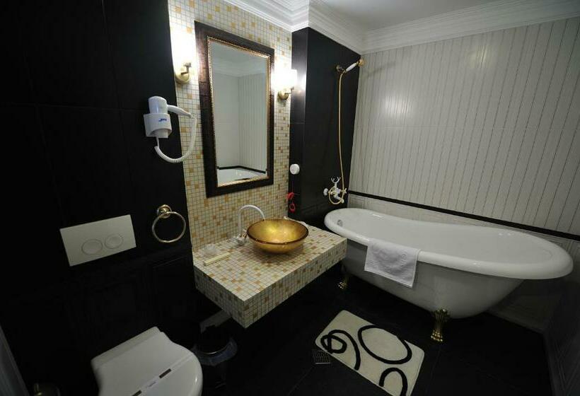 펜션 Carul Din Stele