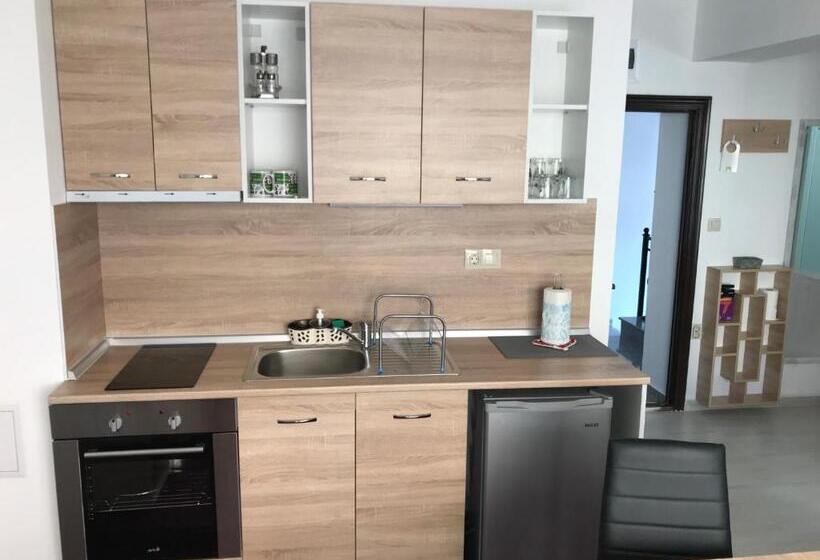 פנסיון Guest House Theona